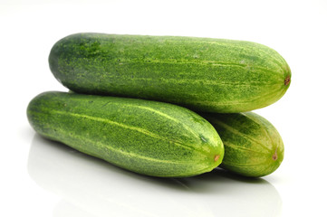 Cucumber
