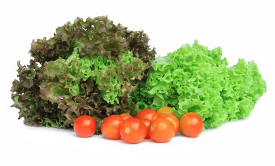 Fresh green lettuce salad isolate on white background