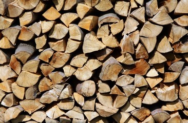 sticks of fire-wood for  heating home
