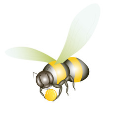 Fototapeta premium Bee