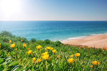 Obraz premium View seascape with yellow flowers and grass. Portugal, Algarve.