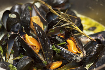 Mussels being cooked in buttery sause close-up