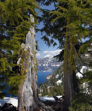 Mount Scott From Crater Lake Lodge