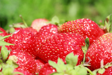 fresh, juicy and healthy strawberries