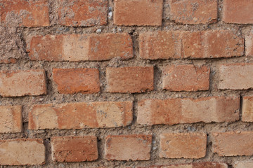 The Wall
