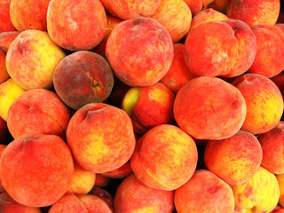 Many bright ripe and tasty peaches