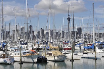 Fototapeta na wymiar Auckland, the City of Sails