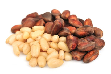 pine nut