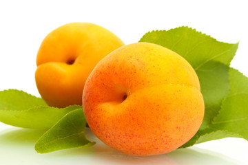 ripe sweet apricots with green leaves isolated on white