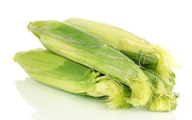 Fresh corn cobs isolated on white