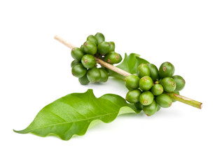 coffee beans.