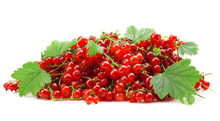 red currant