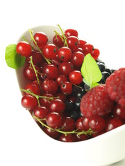 Red currant and berries