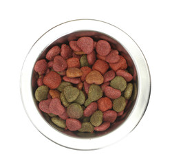 dry dog food in metal bowl isolated on white