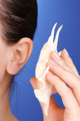 Human ear and shell close-up on blue background