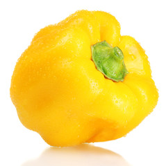 Yellow pepper isolated on white