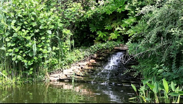 petite cascade de bassin de jardin D4AGR2MENT