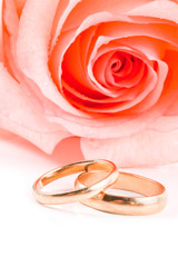 Two gold wedding bands beside a pink rose.