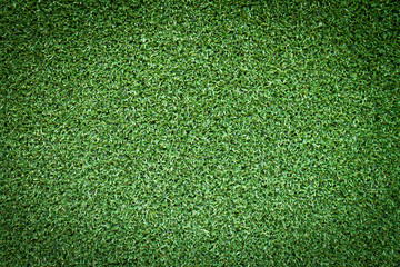 Obraz premium green grass