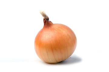 Onion bulb isolated