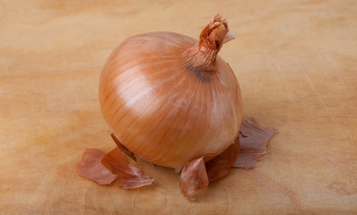 Onion bulb