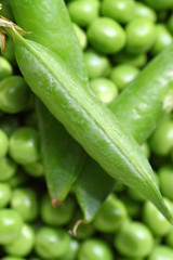 Fresh peas