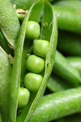 Fresh peas