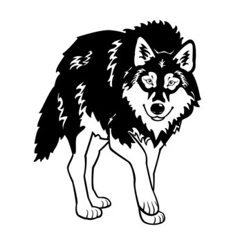 wolf black white isolated on white background