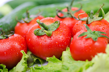 Tomatoes and cucumbers ready for salad