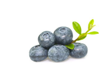Bilberry with leaves on white background.