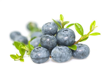 Bilberry with leaves on white background.