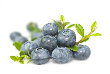 Bilberry with leaves on white background.