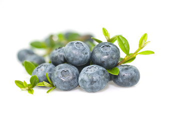 Bilberry with leaves on white background.