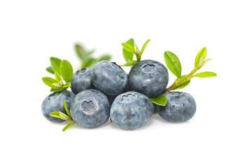 Bilberry with leaves on white background.