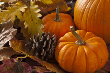 Autumn scene with pumpkins
