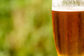 cold glass of beer with foam