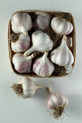 Garlic bulbs in a basket