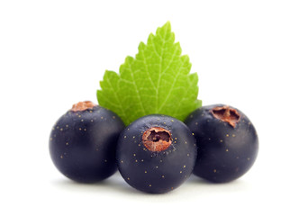 Black currant with leaf