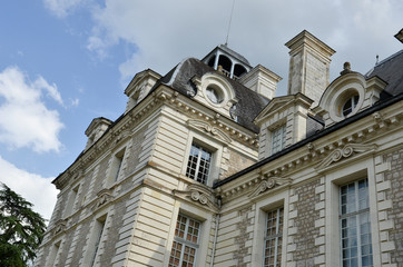 Fototapeta na wymiar Au château de Cheverny