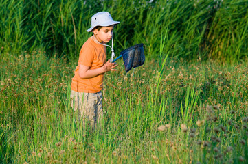 Little child hunting for butterfly