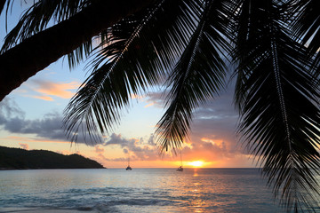 Obraz na płótnie Canvas tropikalnej plaży o zachodzie słońca