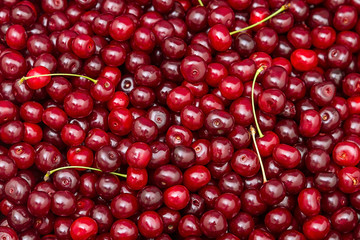 Background of ripe cherries