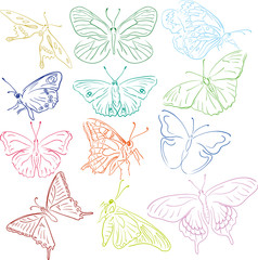 butterflies solhouettes