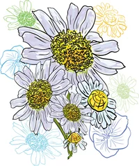 Abwaschbare Fototapete Chamomile bouquet watercolor © bassarida