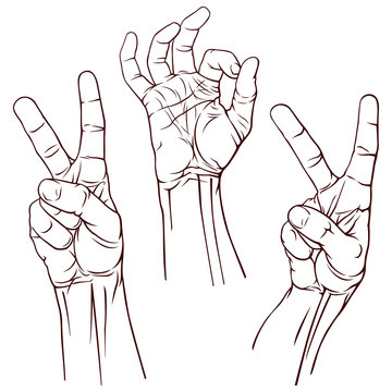 Set of three hands