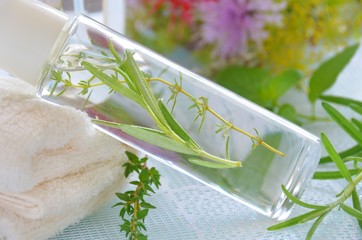 herbal cosmetics