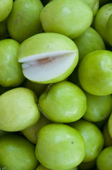 Green Monkey apple or jujubes