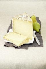 Salers © FOOD-pictures