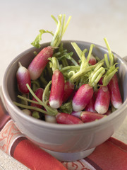 Bol de radis