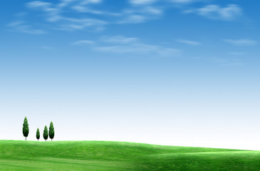 green field and trees landscape